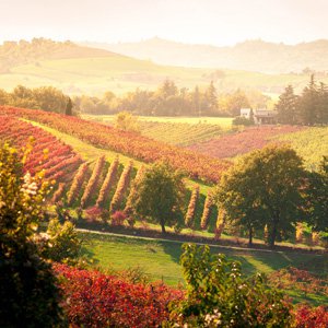 Viaggio attraverso i vini dell’Emilia Romagna