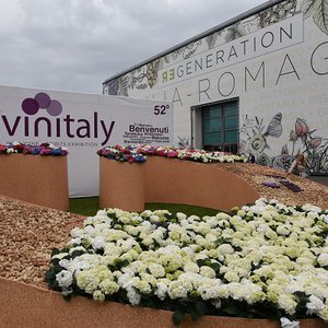 Vinitaly 2019 Emilia-Romagna’s hall 1 events
