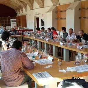 Progetto Vino di Collisioni Festival 2017