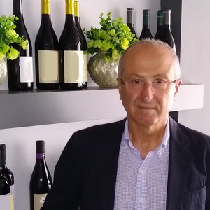 Giordano Zinzani è il nuovo Presidente di Enoteca Regionale Emilia Romagna